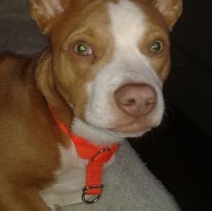 Meet your Posher, Judy